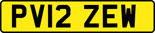 PV12ZEW