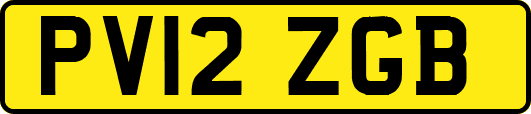 PV12ZGB