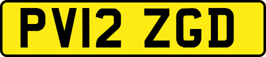 PV12ZGD