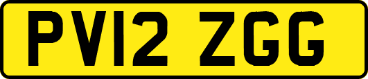 PV12ZGG