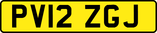 PV12ZGJ