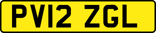 PV12ZGL