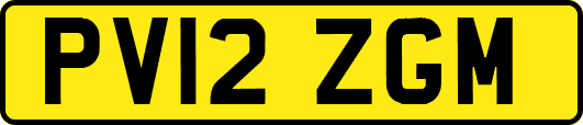 PV12ZGM