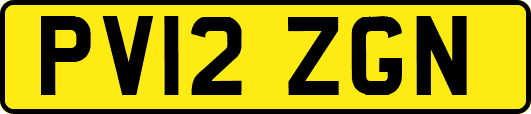 PV12ZGN