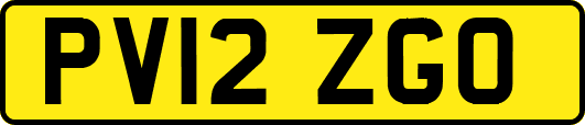 PV12ZGO