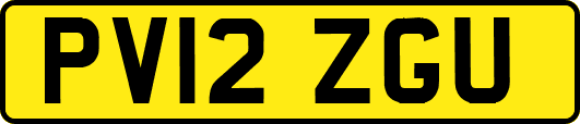 PV12ZGU