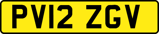 PV12ZGV
