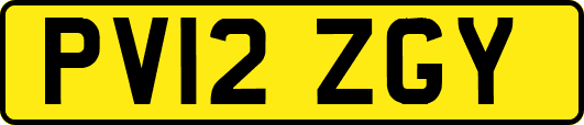 PV12ZGY