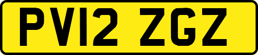 PV12ZGZ