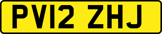 PV12ZHJ