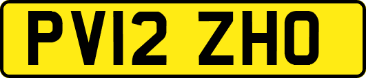 PV12ZHO