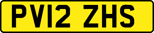 PV12ZHS