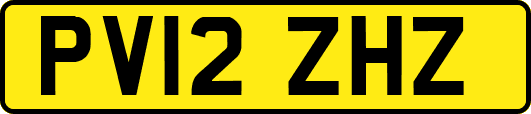 PV12ZHZ
