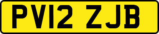 PV12ZJB