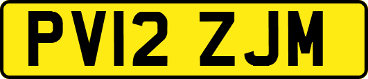 PV12ZJM