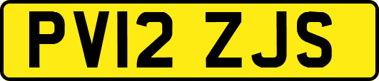 PV12ZJS