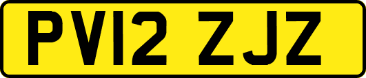 PV12ZJZ