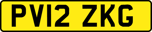 PV12ZKG