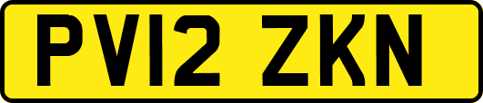 PV12ZKN