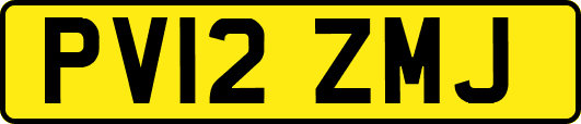PV12ZMJ