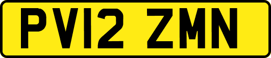 PV12ZMN