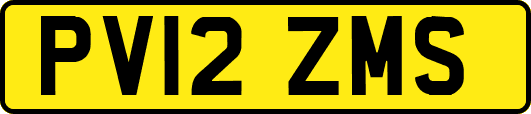 PV12ZMS