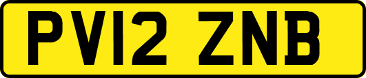 PV12ZNB