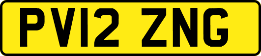 PV12ZNG