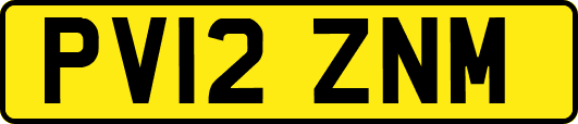 PV12ZNM