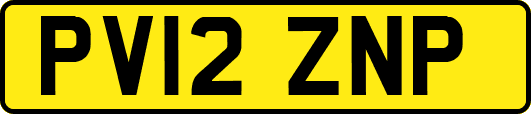 PV12ZNP