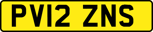 PV12ZNS