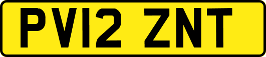 PV12ZNT