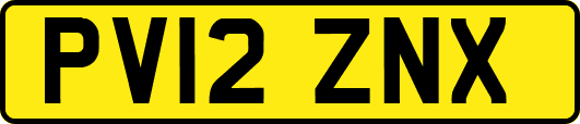 PV12ZNX