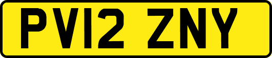 PV12ZNY