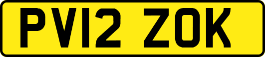 PV12ZOK