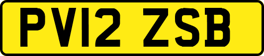 PV12ZSB