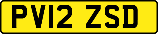 PV12ZSD
