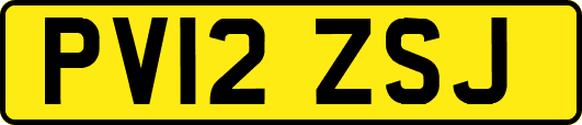 PV12ZSJ