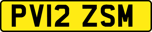 PV12ZSM