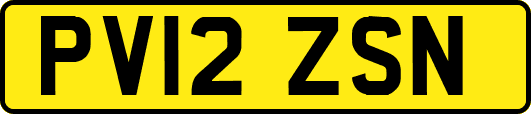 PV12ZSN