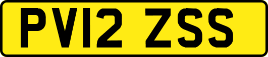 PV12ZSS