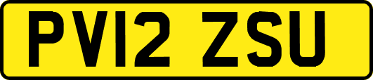 PV12ZSU