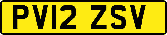 PV12ZSV