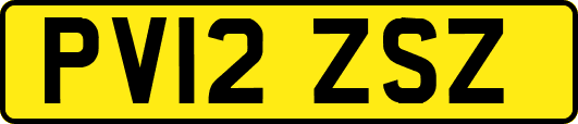 PV12ZSZ