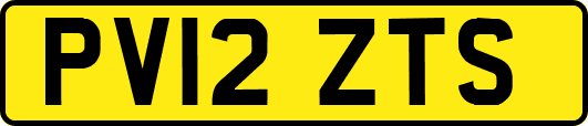 PV12ZTS