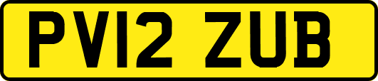 PV12ZUB