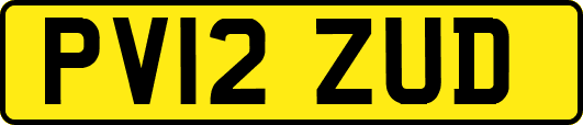 PV12ZUD