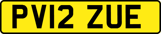 PV12ZUE