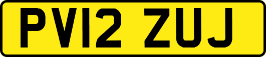 PV12ZUJ