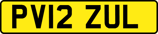 PV12ZUL